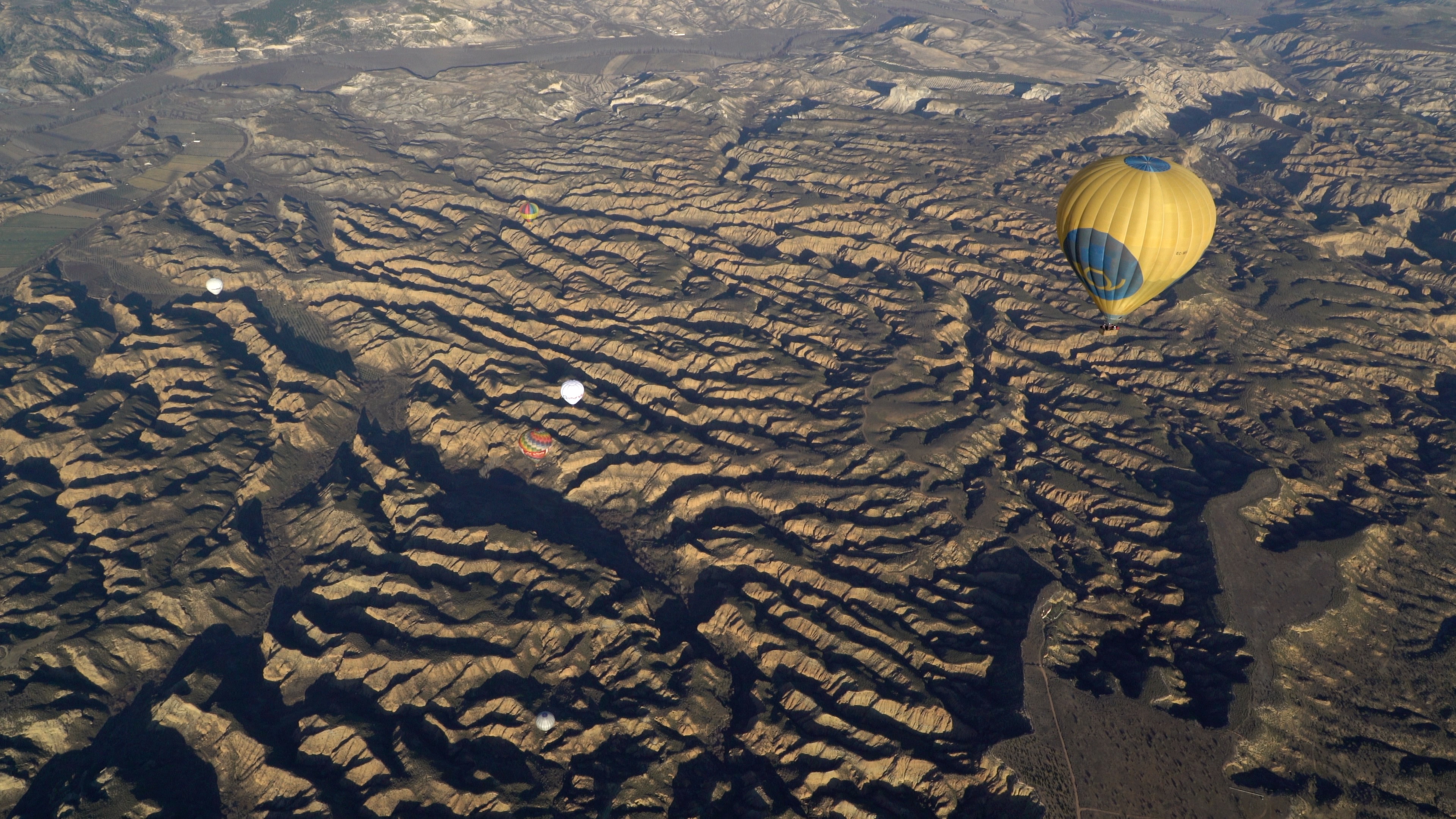 Descripción de la imagen